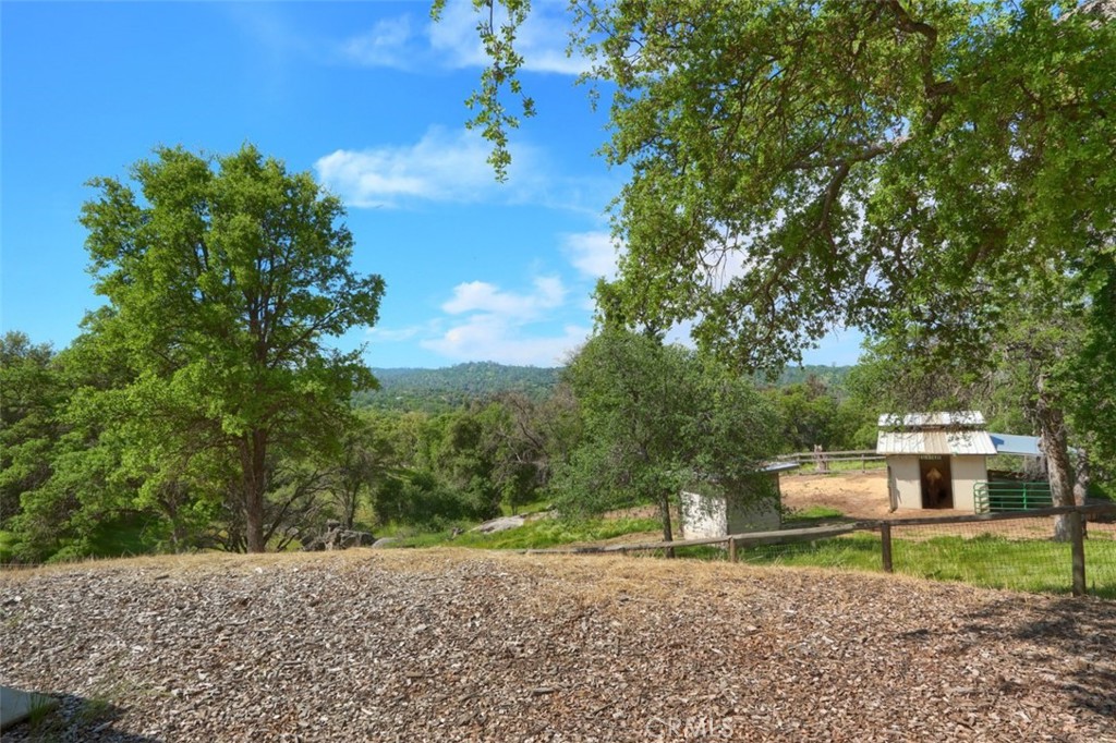32028 Cattle Way Property Photo 58