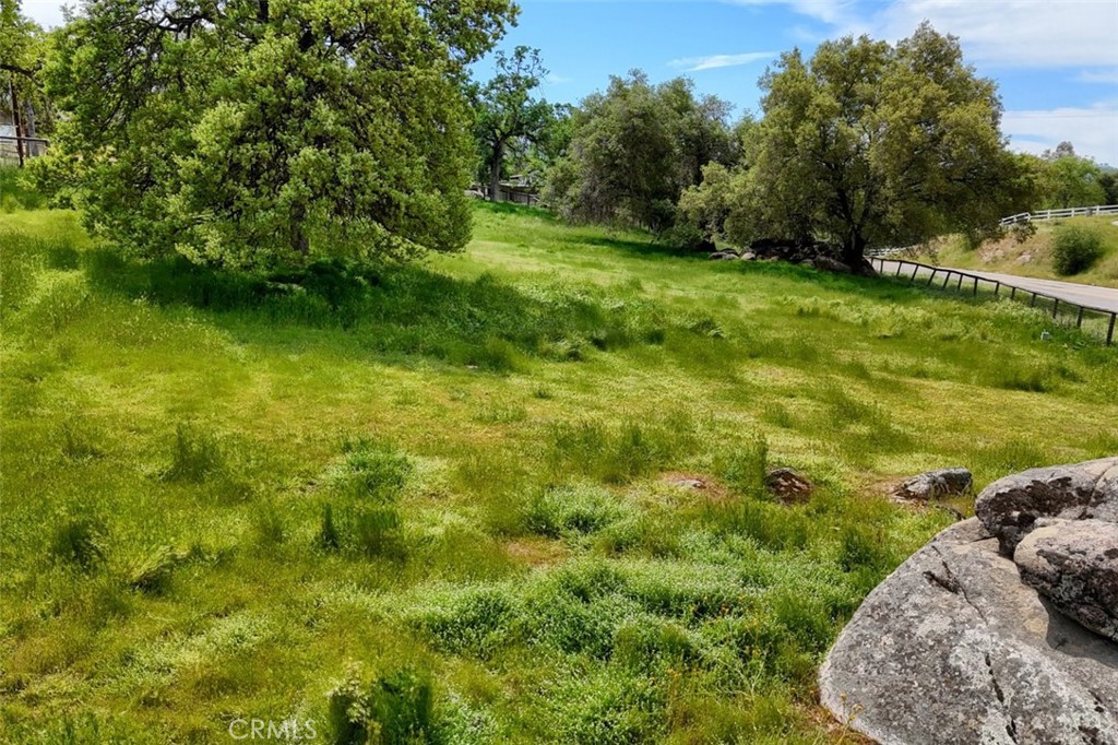 32028 Cattle Way Property Photo 64