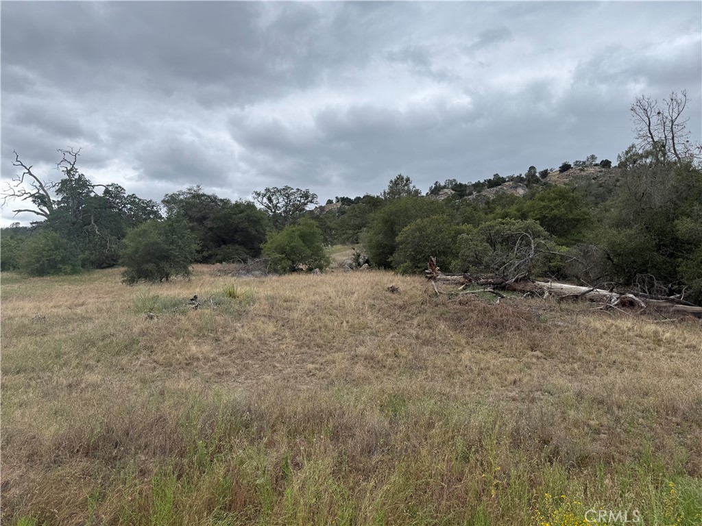 2112 Lot # North Dome Property Photo 1