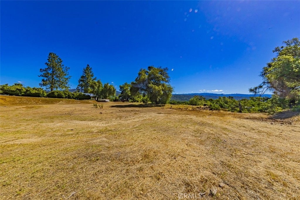 42514 Highway 49 Property Photo 1