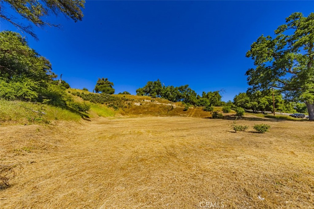 42514 Highway 49 Property Photo 3