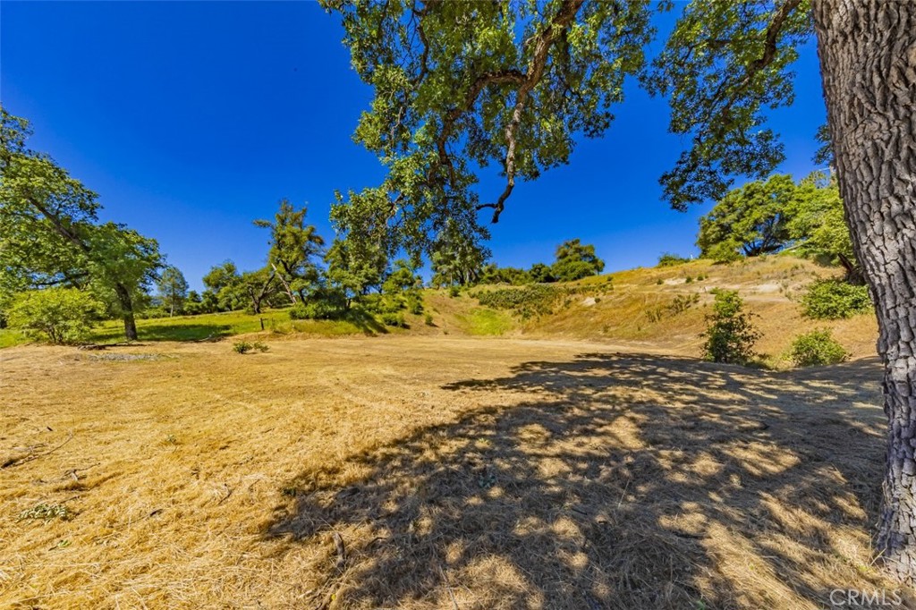 42514 Highway 49 Property Photo 5