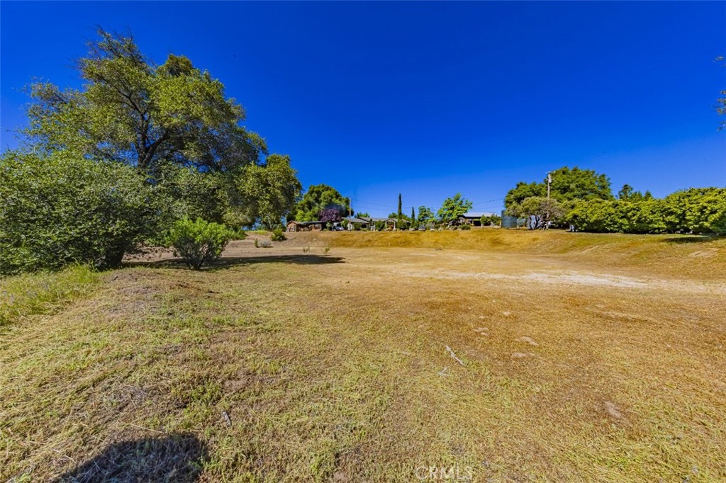 42514 Highway 49 Property Photo 7