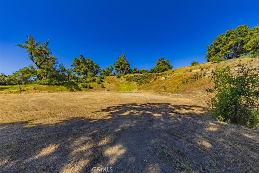 42514 Highway 49 Property Photo 13