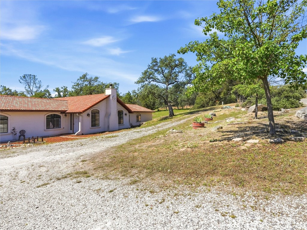 42704 Deep Forest Property Photo 5