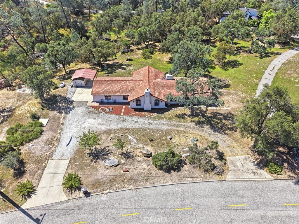 42704 Deep Forest Property Photo 6