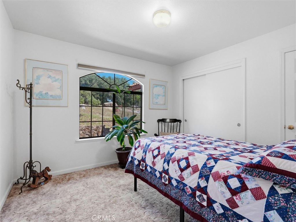 42704 Deep Forest Property Photo 27