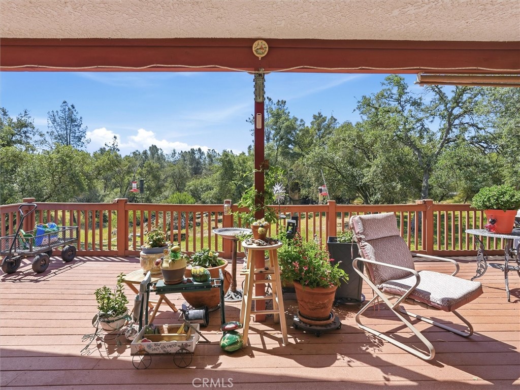 42704 Deep Forest Property Photo 43