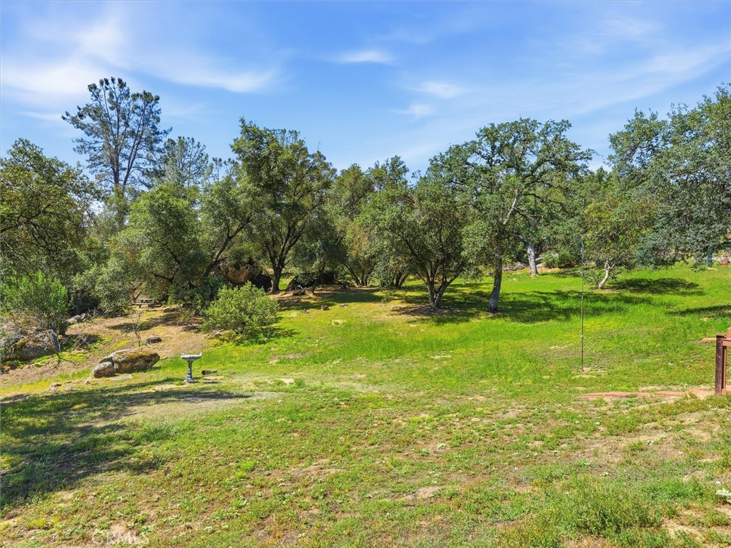 42704 Deep Forest Property Photo 44