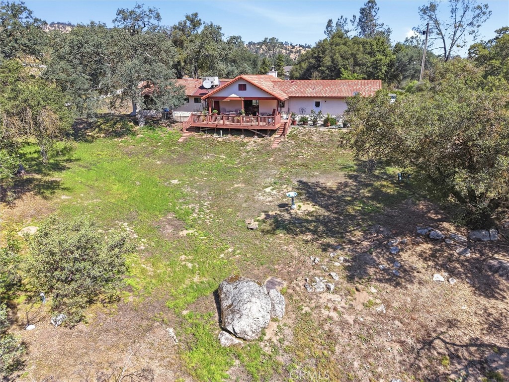 42704 Deep Forest Property Photo 46
