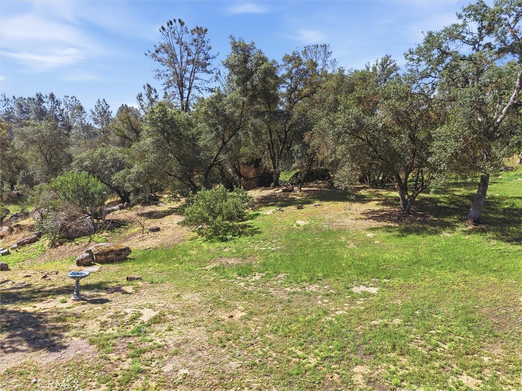 42704 Deep Forest Property Photo 47