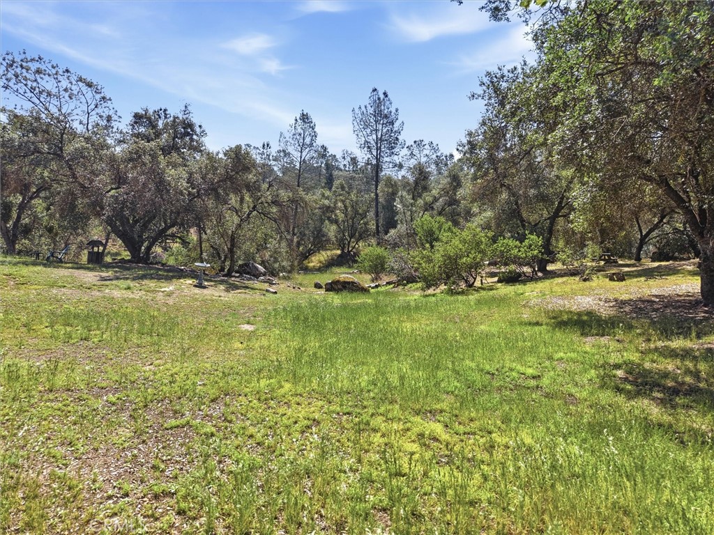 42704 Deep Forest Property Photo 48