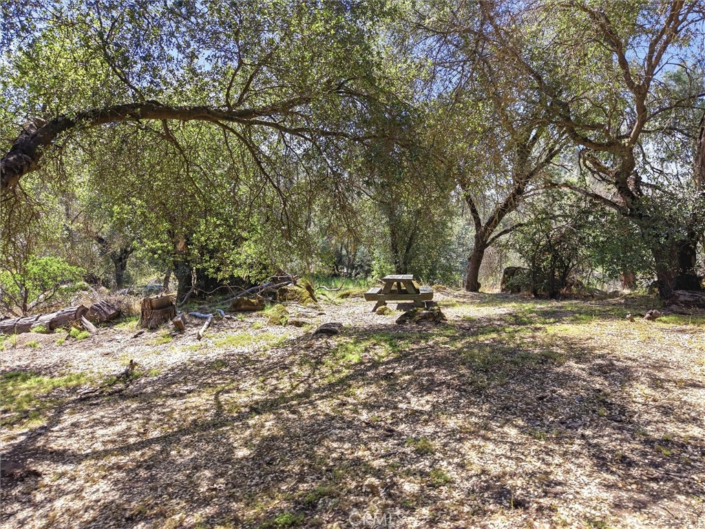 42704 Deep Forest Property Photo 49