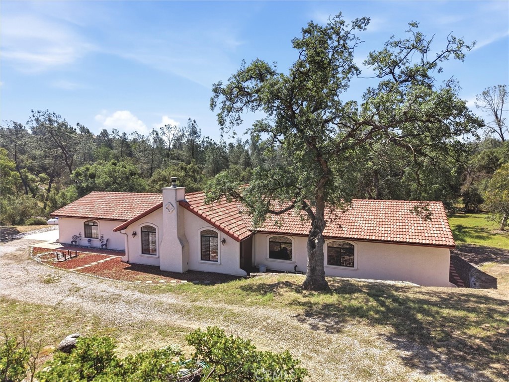 42704 Deep Forest Property Photo 50