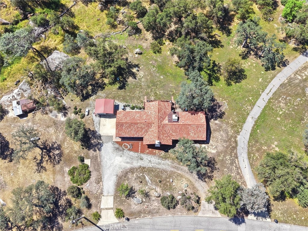 42704 Deep Forest Property Photo 52