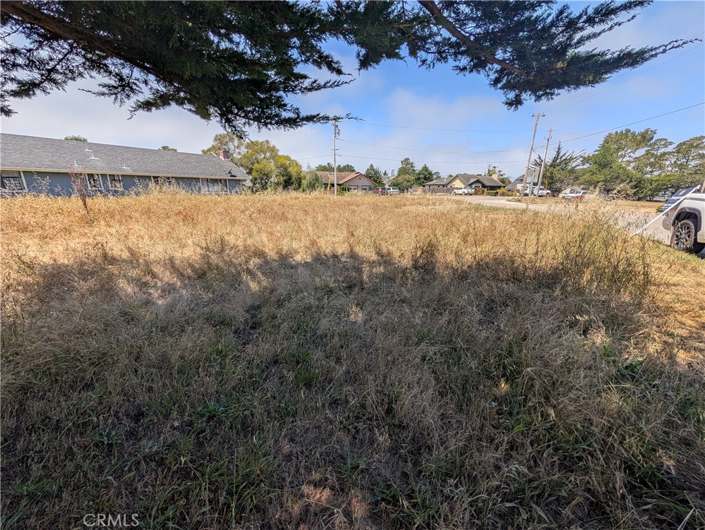 2920 Wood Property Photo 3