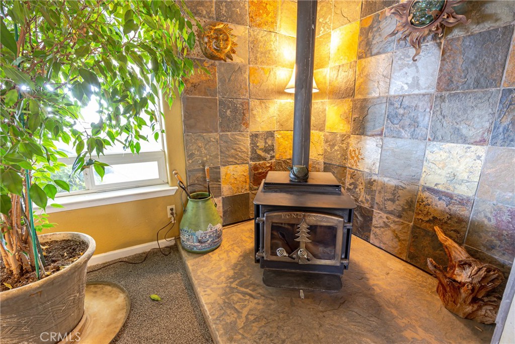 29657 Lilley Mountain Property Photo 11