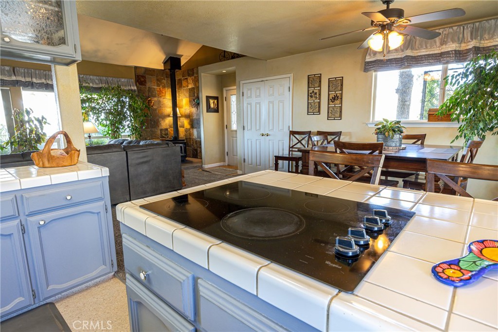 29657 Lilley Mountain Property Photo 16