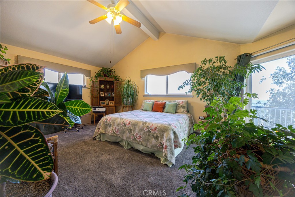 29657 Lilley Mountain Property Photo 31