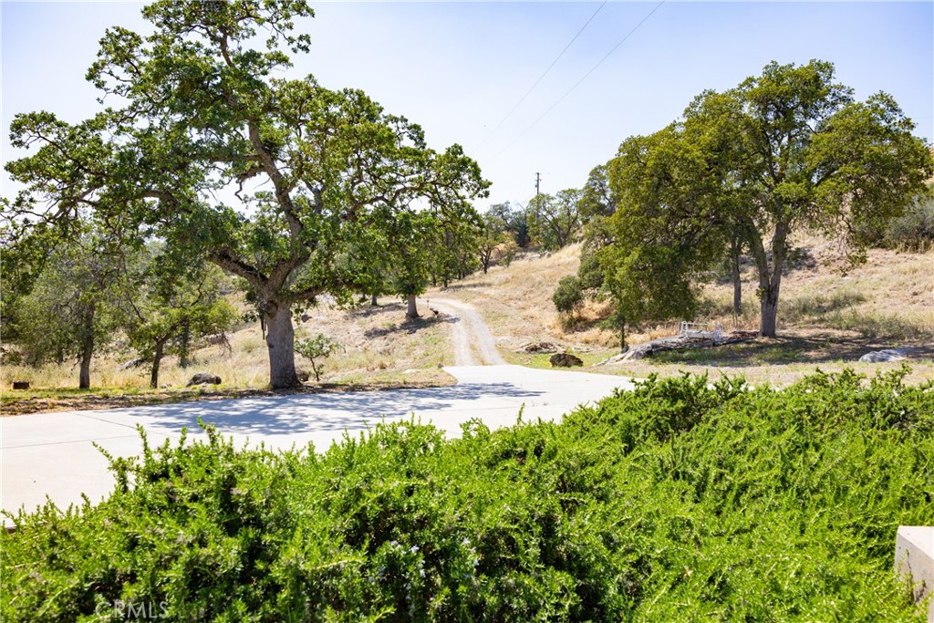 29657 Lilley Mountain Property Photo 59