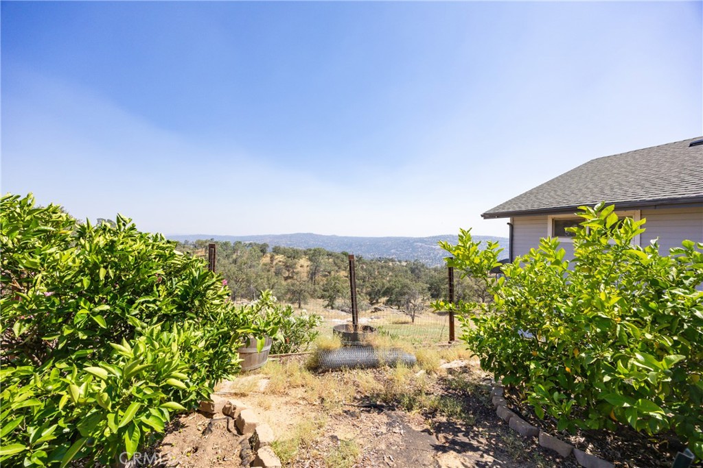 29657 Lilley Mountain Property Photo 64