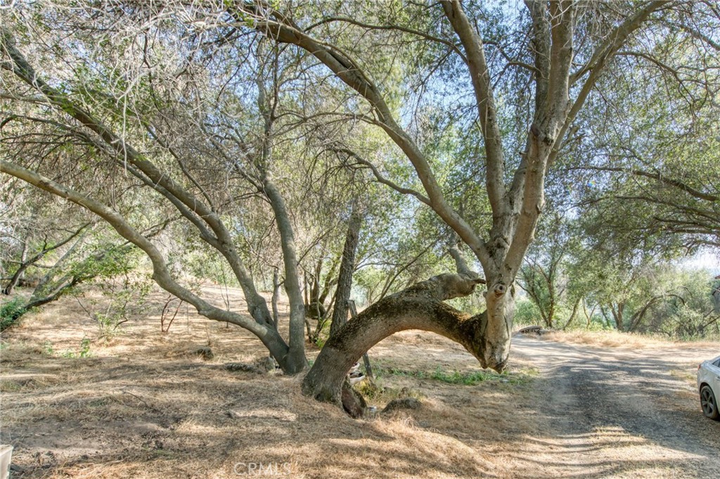 43867 Trabuco Court Property Photo 8