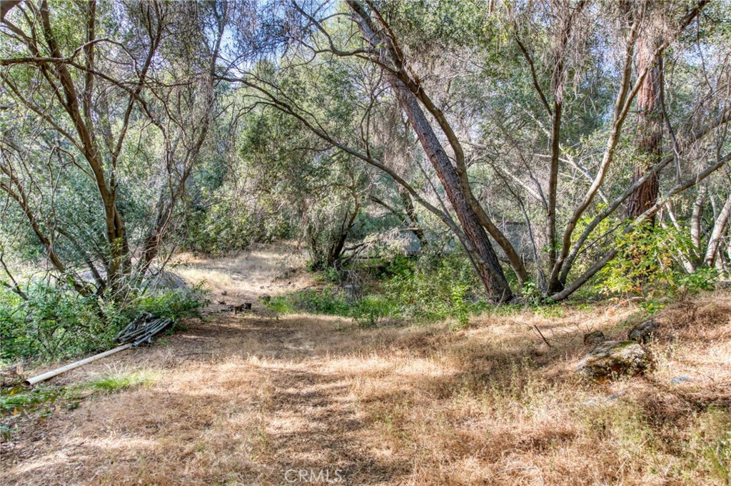43867 Trabuco Court Property Photo 15