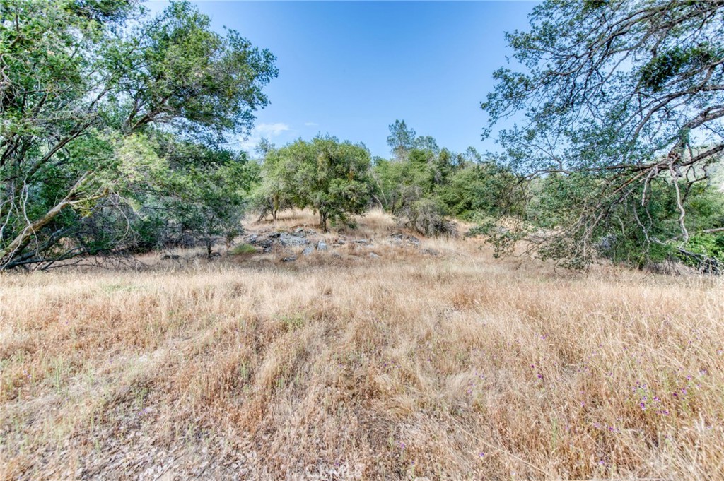 43867 Trabuco Court Property Photo 48