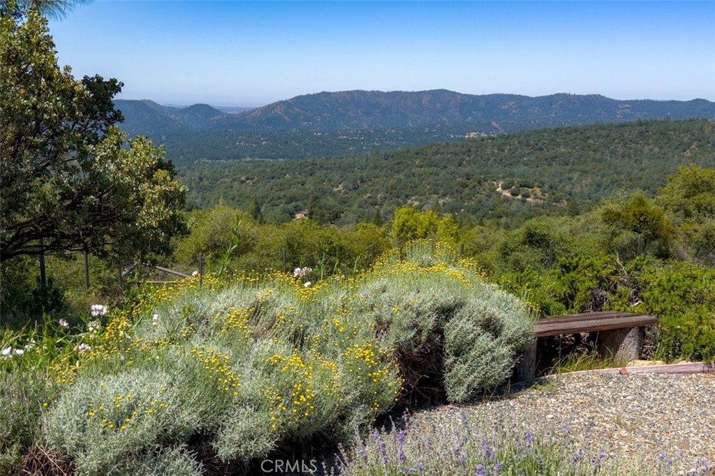 43016 Sunshine Mountain Property Photo 55