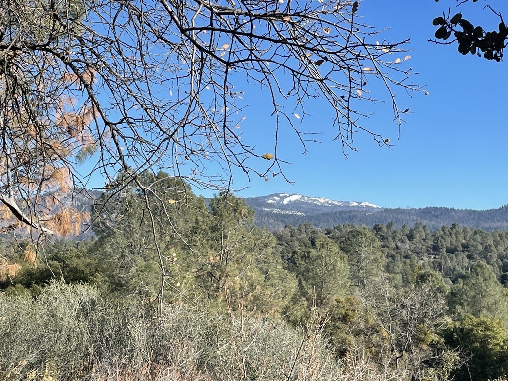 43016 Sunshine Mountain Property Photo 65