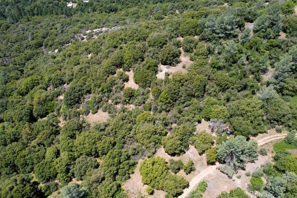 15 Sunshine Mountain Property Photo 3