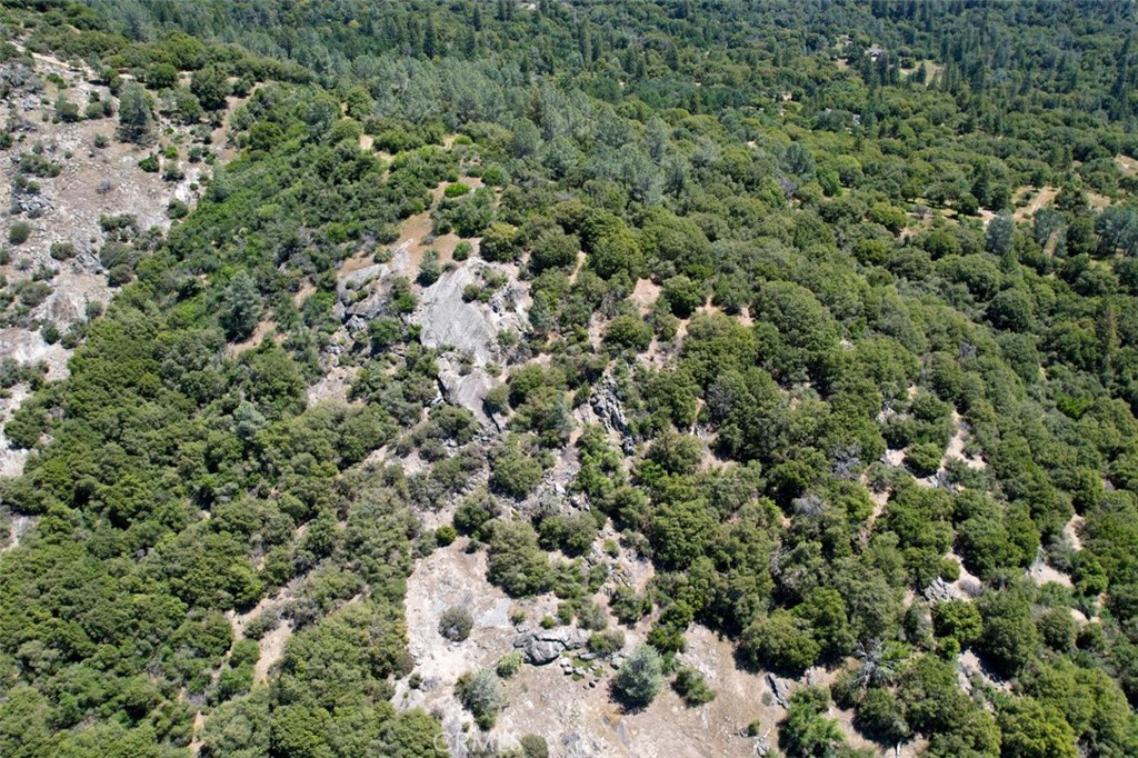 15 Sunshine Mountain Property Photo 4