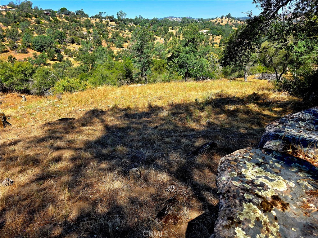 2 Corral Property Photo 1