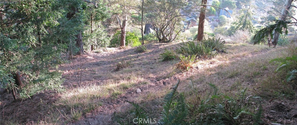 47 Charlottes Way Property Photo 8