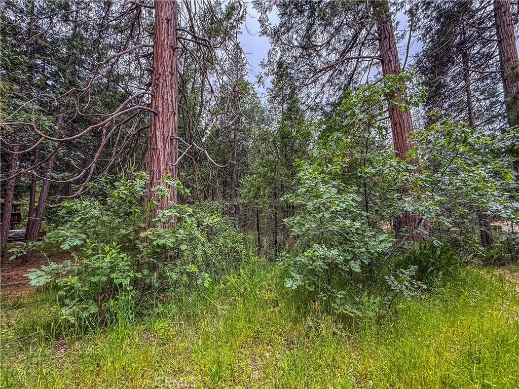 7083 Hites Cove Property Photo 9