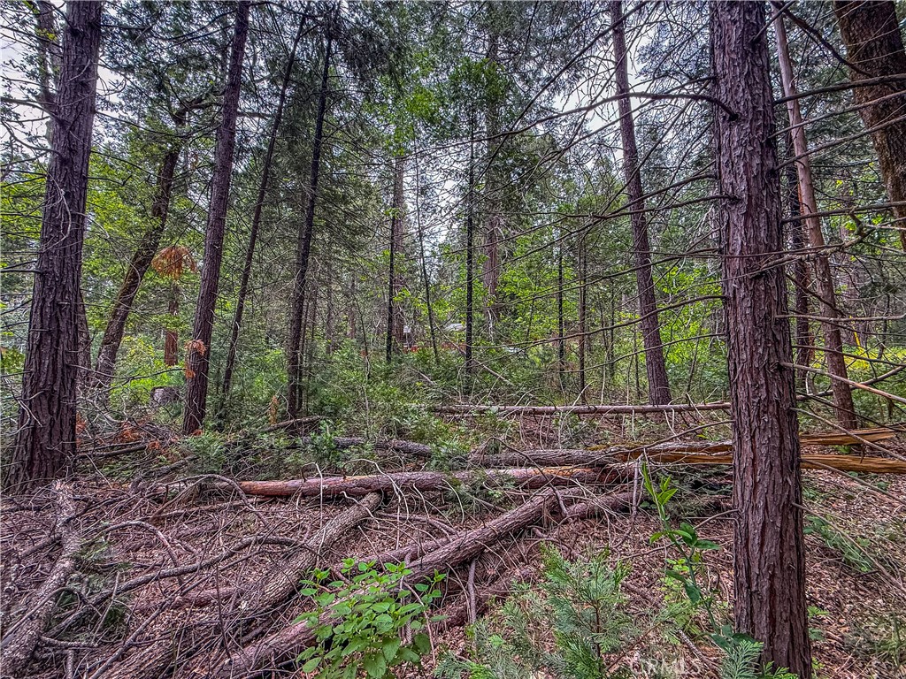 7083 Hites Cove Property Photo 13