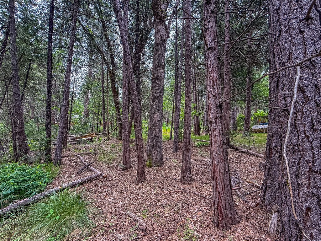 7083 Hites Cove Property Photo 16