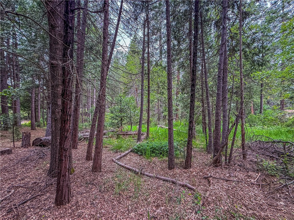 7083 Hites Cove Property Photo 17
