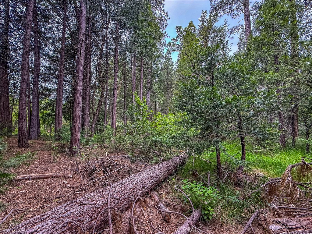 7083 Hites Cove Property Photo 18