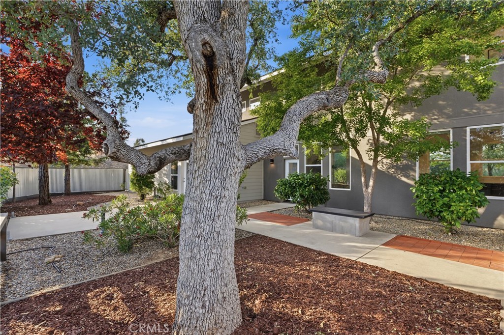 41819 Lilley Mountain Drive Property Photo 34