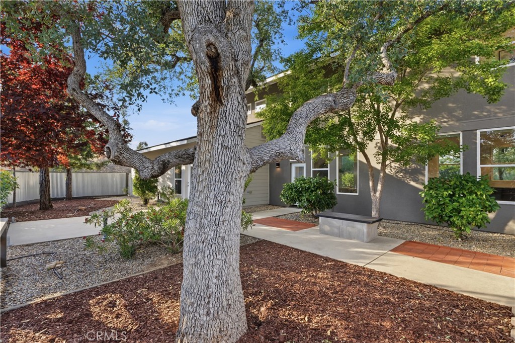 41819 Lilley Mountain Drive Property Photo 34