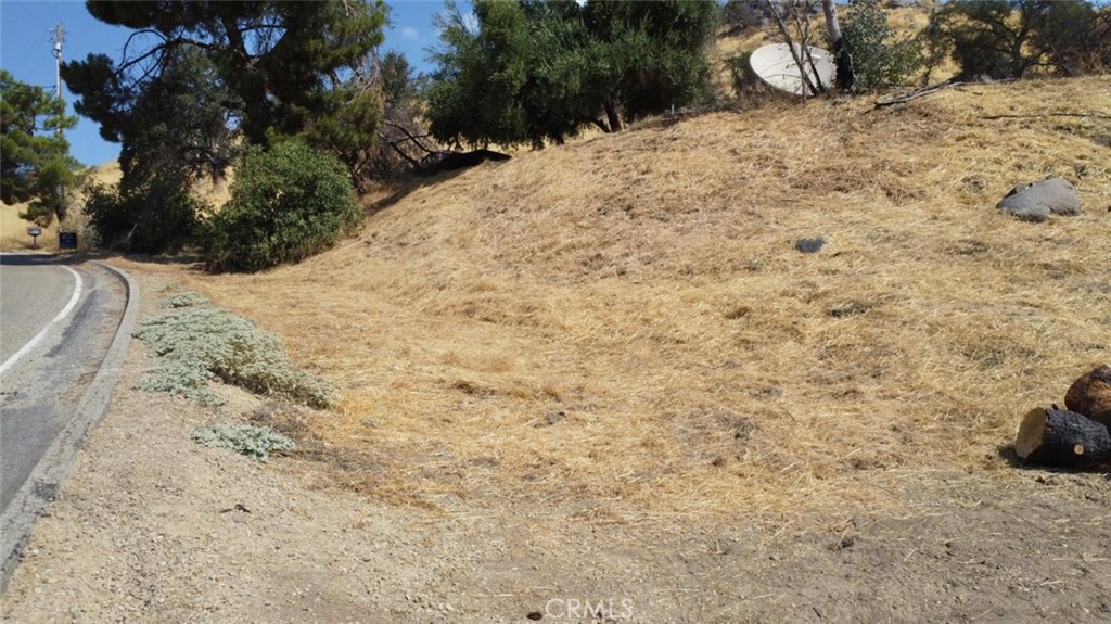 38938 Pepperweed Rd Property Photo 4