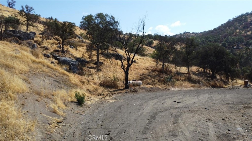 38938 Pepperweed Rd Property Photo 14