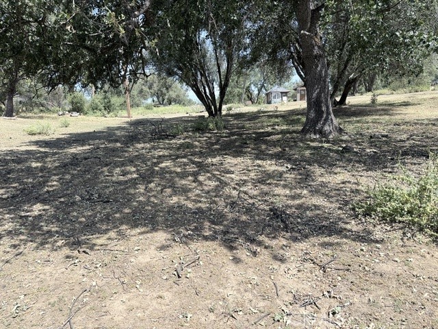 58292 Block Of Road 225 Property Photo 13