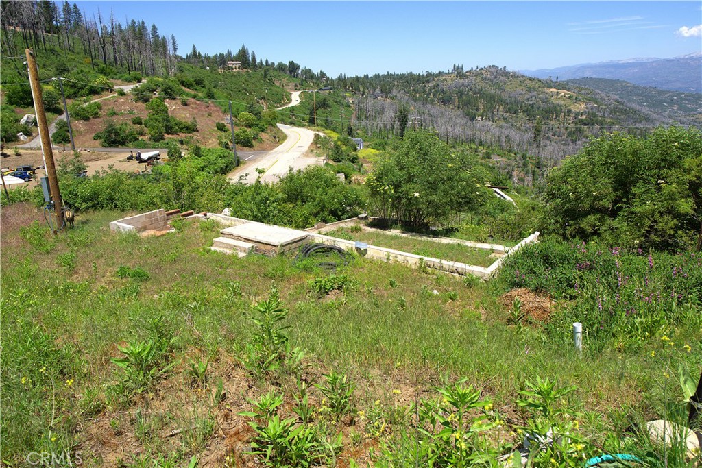 43565 Alder Springs Road Property Photo 6