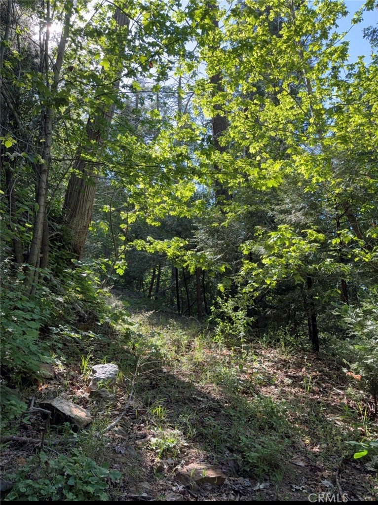 0 Ca-245 Property Photo 39