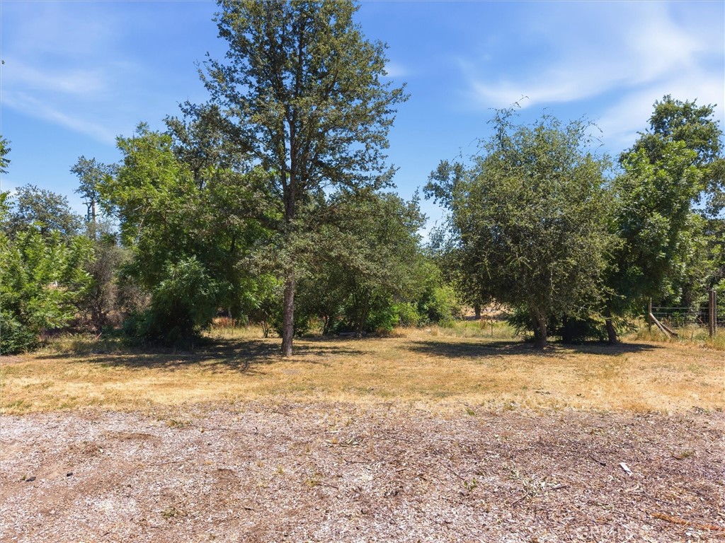 47818 Road 417 Property Photo 47