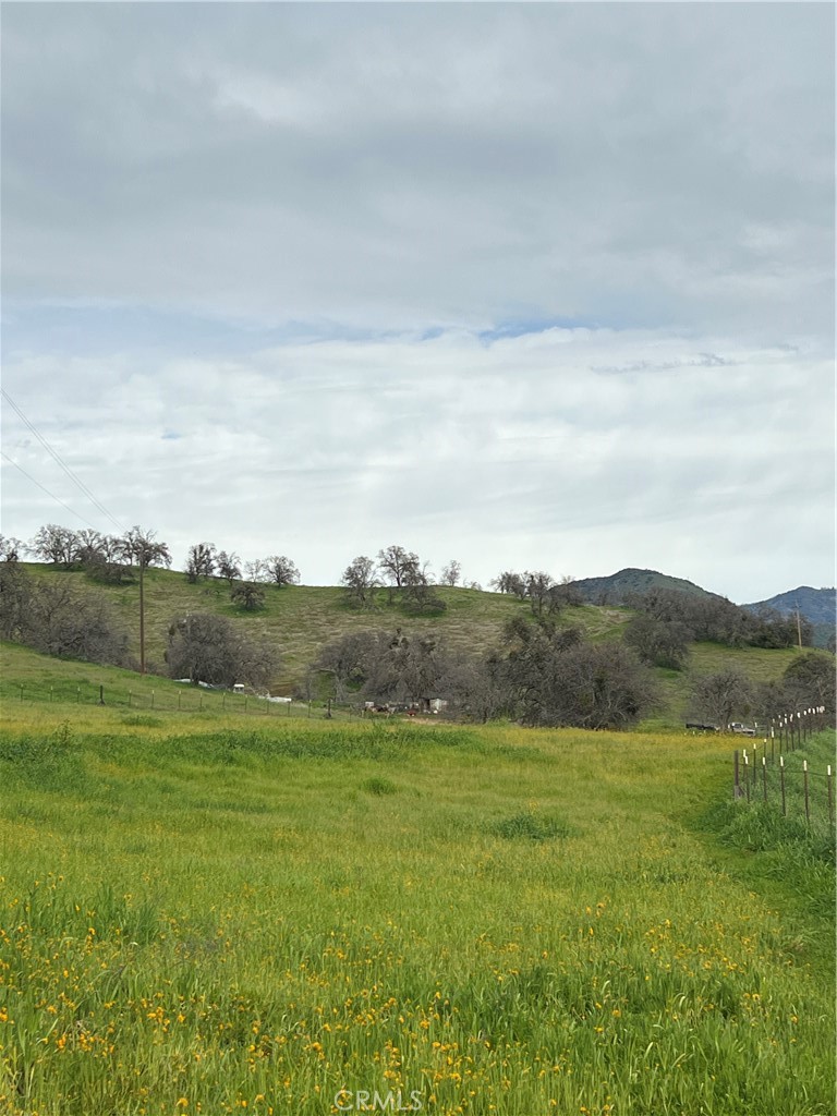 30284 Bear Mountain Property Photo 3
