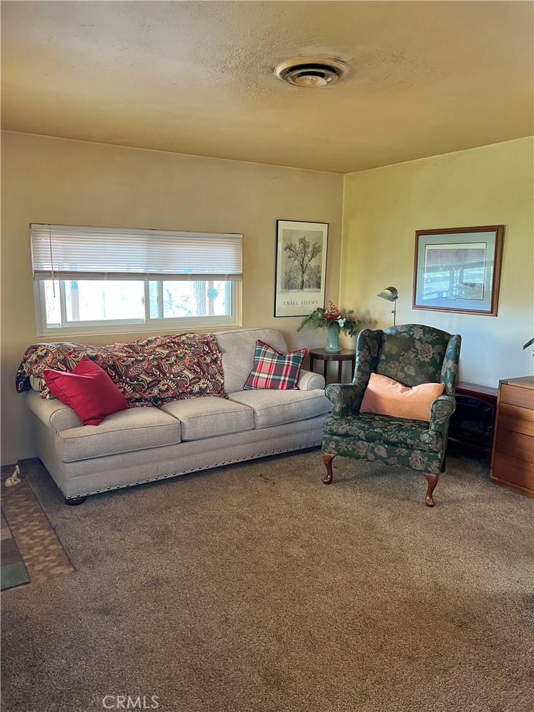 30284 Bear Mountain Property Photo 6