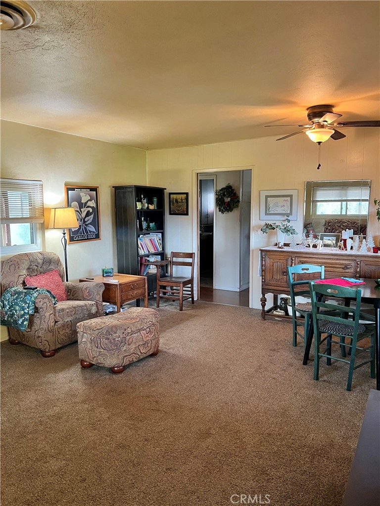 30284 Bear Mountain Property Photo 8